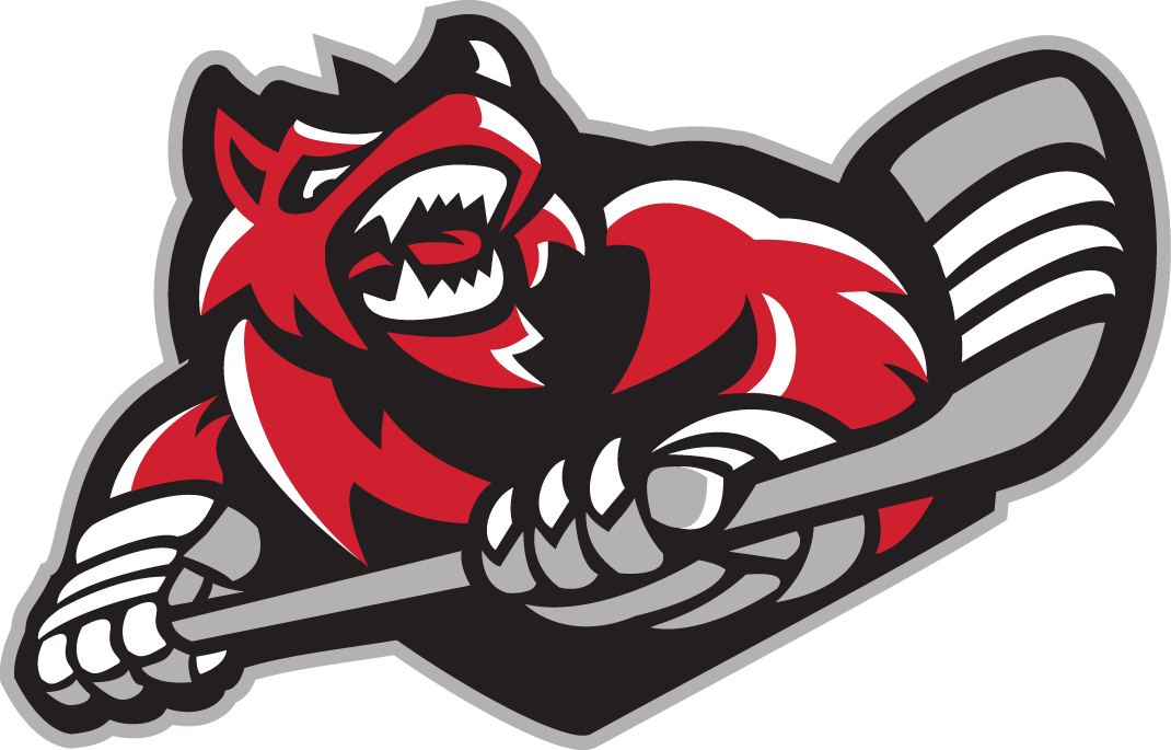 Huntsville Havoc 2016-Pres Secondary Logo iron on transfers for T-shirts